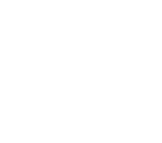 Pessoas correndo com cachorro